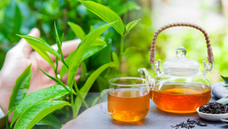 چای امیننت با عصارهی اصیل هل (سری اکسکوزیت)